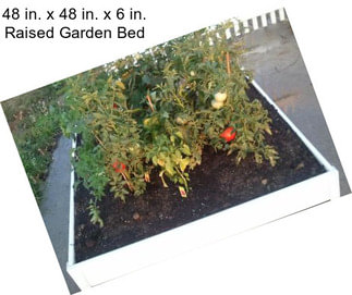 48 in. x 48 in. x 6 in. Raised Garden Bed