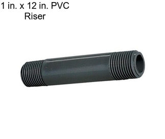 1 in. x 12 in. PVC Riser