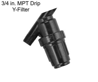 3/4 in. MPT Drip Y-Filter