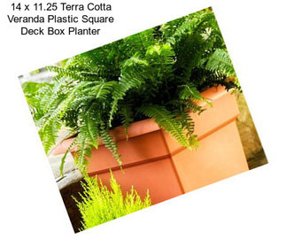 14 x 11.25 Terra Cotta Veranda Plastic Square Deck Box Planter