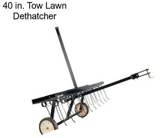 40 in. Tow Lawn Dethatcher