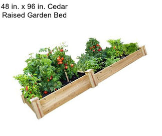 48 in. x 96 in. Cedar Raised Garden Bed