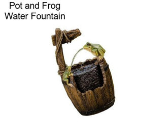 Pot and Frog Water Fountain