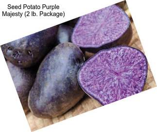 Seed Potato Purple Majesty (2 lb. Package)