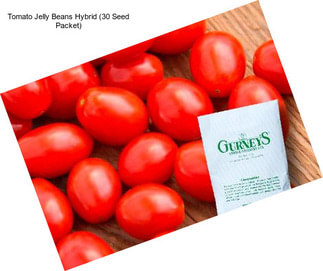 Tomato Jelly Beans Hybrid (30 Seed Packet)