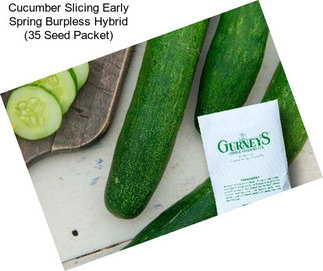 Cucumber Slicing Early Spring Burpless Hybrid (35 Seed Packet)