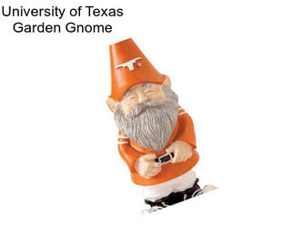 University of Texas Garden Gnome