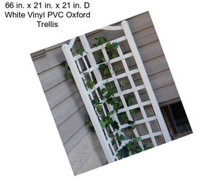 66 in. x 21 in. x 21 in. D White Vinyl PVC Oxford Trellis