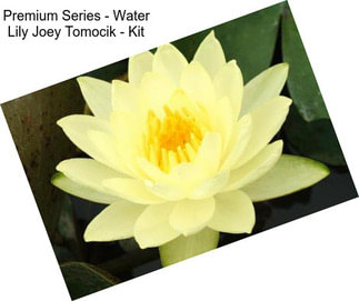Premium Series - Water Lily Joey Tomocik - Kit