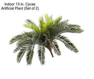 Indoor 13 in. Cycas Artificial Plant (Set of 2)