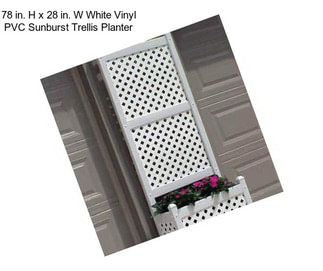 78 in. H x 28 in. W White Vinyl PVC Sunburst Trellis Planter