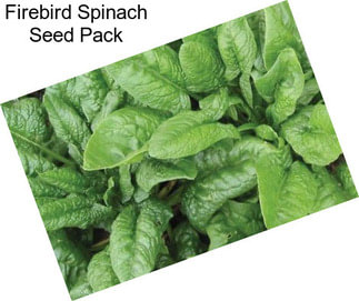 Firebird Spinach Seed Pack