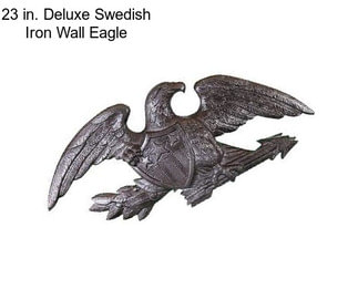 23 in. Deluxe Swedish Iron Wall Eagle