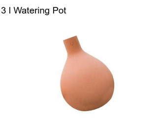 3 l Watering Pot
