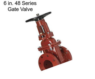 6 in. 48 Series Gate Valve