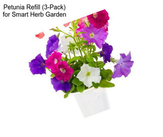 Petunia Refill (3-Pack) for Smart Herb Garden