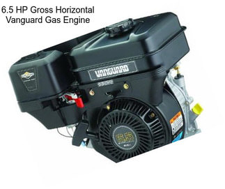 6.5 HP Gross Horizontal Vanguard Gas Engine