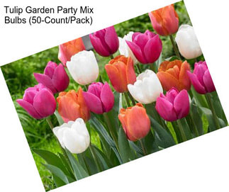 Tulip Garden Party Mix Bulbs (50-Count/Pack)