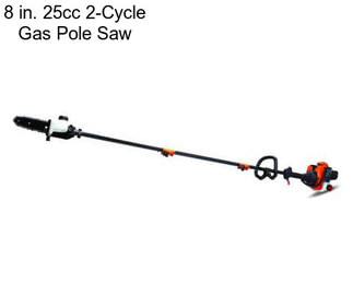 8 in. 25cc 2-Cycle Gas Pole Saw