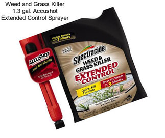 Weed and Grass Killer 1.3 gal. Accushot Extended Control Sprayer