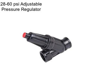 28-60 psi Adjustable Pressure Regulator