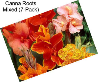 Canna Roots Mixed (7-Pack)