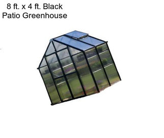 8 ft. x 4 ft. Black Patio Greenhouse