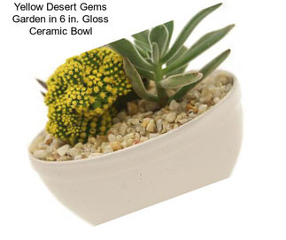 Yellow Desert Gems Garden in 6 in. Gloss Ceramic Bowl