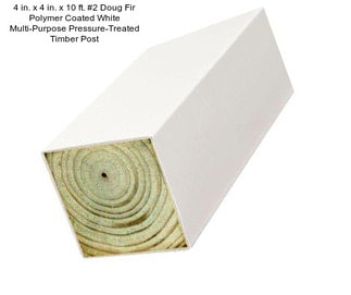 4 in. x 4 in. x 10 ft. #2 Doug Fir Polymer Coated White Multi-Purpose Pressure-Treated Timber Post