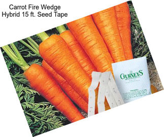 Carrot Fire Wedge Hybrid 15 ft. Seed Tape