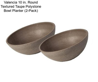 Valencia 10 in. Round Textured Taupe Polystone Bowl Planter (2-Pack)