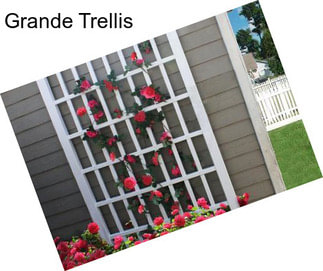 Grande Trellis