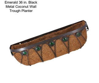 Emerald 36 in. Black Metal Coconut Wall Trough Planter