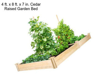 4 ft. x 8 ft. x 7 in. Cedar Raised Garden Bed