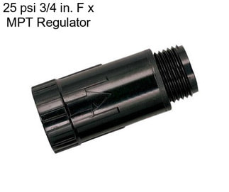 25 psi 3/4 in. F x MPT Regulator