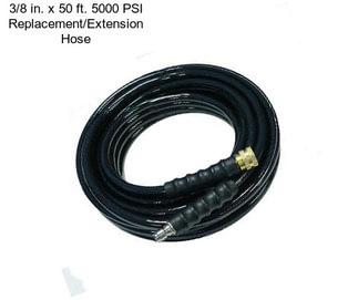 3/8 in. x 50 ft. 5000 PSI Replacement/Extension Hose