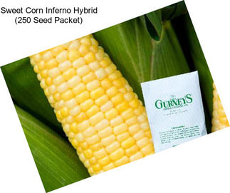 Sweet Corn Inferno Hybrid (250 Seed Packet)