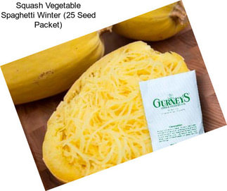 Squash Vegetable Spaghetti Winter (25 Seed Packet)