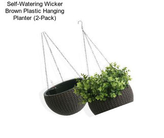 Self-Watering Wicker Brown Plastic Hanging Planter (2-Pack)