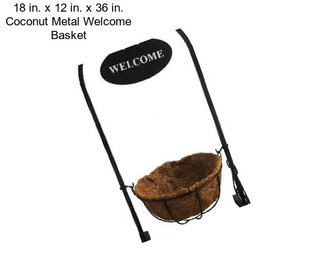 18 in. x 12 in. x 36 in. Coconut Metal Welcome Basket