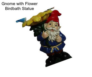 Gnome with Flower Birdbath Statue