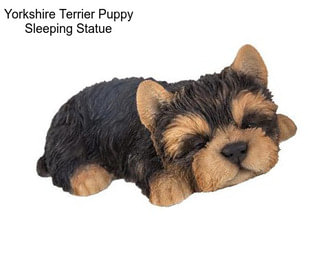 Yorkshire Terrier Puppy Sleeping Statue