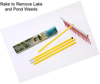 Rake to Remove Lake and Pond Weeds