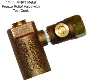 1/4 in. MNPT Metal Freeze Relief Valve with Test Cock