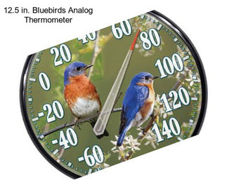 12.5 in. Bluebirds Analog Thermometer