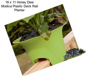 18 x 11 Honey Dew Modica Plastic Deck Rail Planter