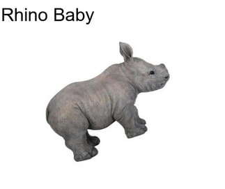 Rhino Baby