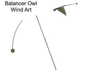 Balancer Owl Wind Art