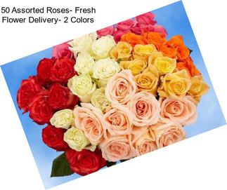 50 Assorted Roses- Fresh Flower Delivery- 2 Colors