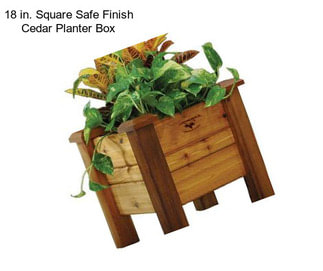 18 in. Square Safe Finish Cedar Planter Box